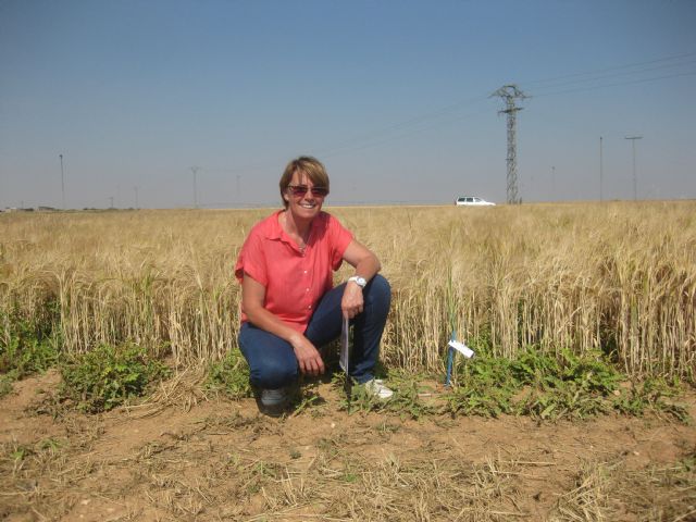 La UPCT recomienda el uso del compost para mejorar la fertilidad y retención hídrica de los suelos agrícolas - 2, Foto 2