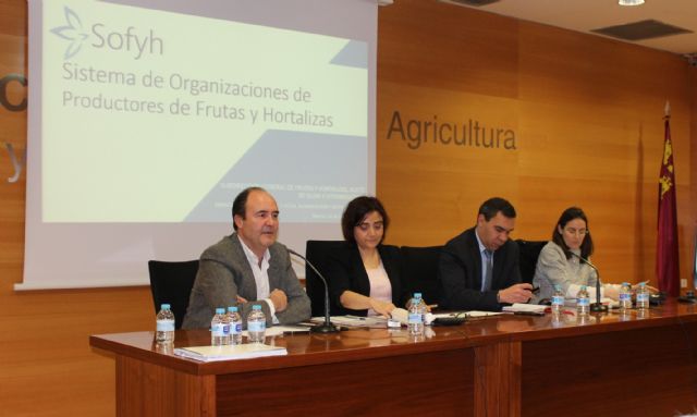 Jornada divulgativa sobre la nueva aplicación informática ´Sofyh´ - 1, Foto 1