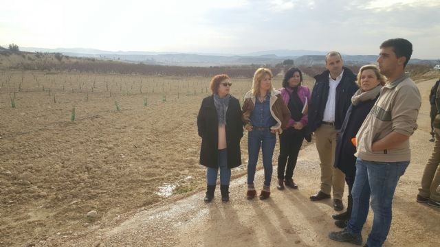 La Comunidad abonará este año 11 millones de euros en ayudas a la creación de empresas e inversiones en explotaciones de jóvenes agricultores - 1, Foto 1