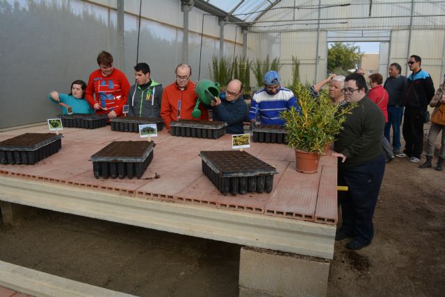 El Vivero Municipal apuesta por la integración social y laboral - 1, Foto 1