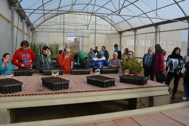 El Vivero Municipal apuesta por la integración social y laboral - 2, Foto 2