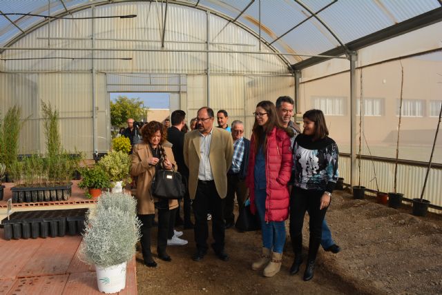 El Vivero Municipal apuesta por la integración social y laboral - 3, Foto 3