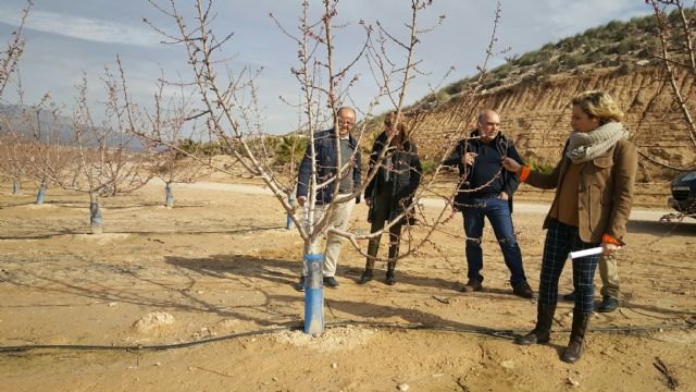 Las organizaciones de productores de la Regin recibirn 67 millones de euros de ayudas comunitarias para inversiones en 2017, Foto 1