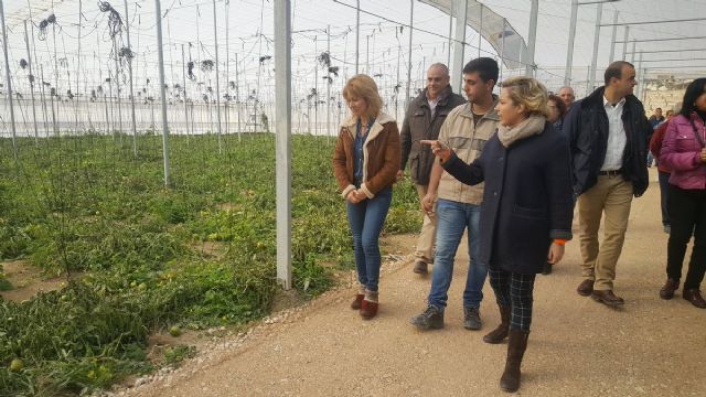 Consejera de Agricultura y alcaldesa visitan las instalaciones de la nueva empresa hortofrutícola en Campos del Río - 1, Foto 1