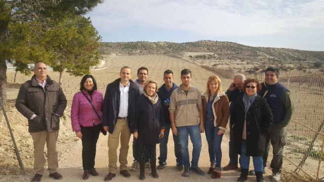 Consejera de Agricultura y alcaldesa visitan las instalaciones de la nueva empresa hortofrutícola en Campos del Río - 2, Foto 2