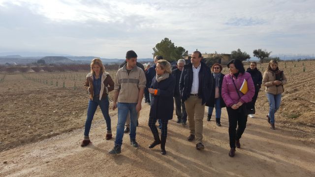 Consejera de Agricultura y alcaldesa visitan las instalaciones de la nueva empresa hortofrutícola en Campos del Río - 4, Foto 4