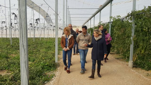 Consejera de Agricultura y alcaldesa visitan las instalaciones de la nueva empresa hortofrutícola en Campos del Río - 5, Foto 5