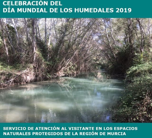 Medio Ambiente organiza rutas, visitas guiadas y observación de aves para poner en valor la riqueza natural de los humedales de la Región - 1, Foto 1