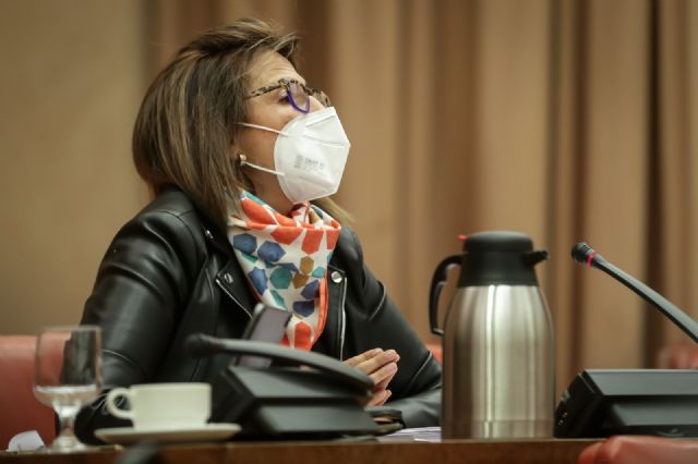 Isabel Borrego: La ministra de Turismo debe responder porqué el Gobierno de España no da ayudas directas a sectores tan dañados como la hostelería y el turismo - 1, Foto 1