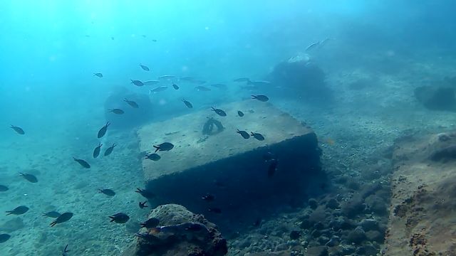 Una boya con cámara submarina emitirá en streaming durante ocho meses las imágenes de los fondos del Puerto de Cartagena - 1, Foto 1