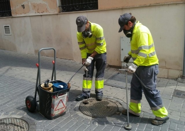    [The contract for integrated pest control for disinfection and rat control services in this municipality is extended for another year, Foto 2