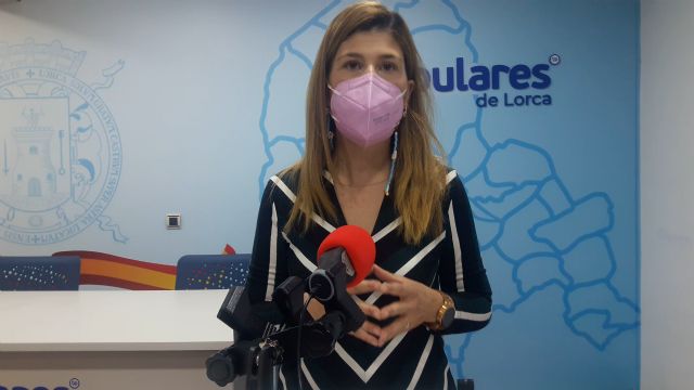 El PP consigue que el Ayuntamiento elabore un informe que determine el impacto de la devolución de los 9,5 millones que Iberdrola exige ante el Supremo - 1, Foto 1