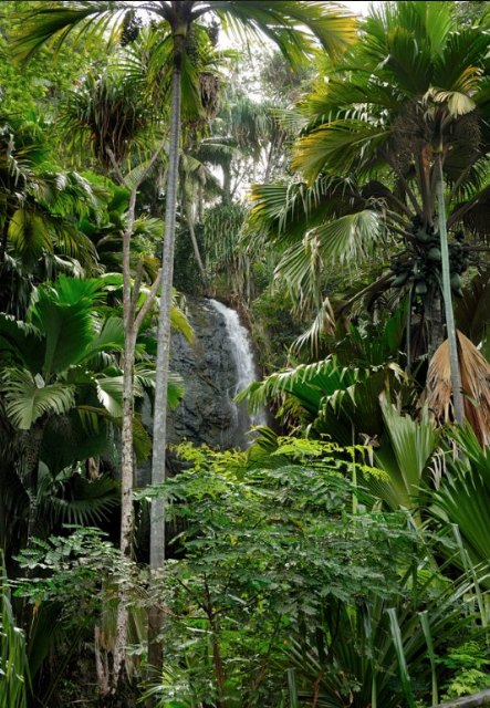 Playas vírgenes y naturaleza intacta dispuestas a abrazarte, en Seychelles - 3, Foto 3