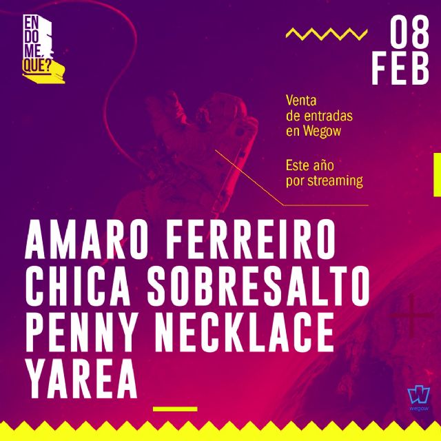 Un concierto online para recaudar fondos para la investigación de la Universidad de Murcia sobre la endometriosis - 1, Foto 1