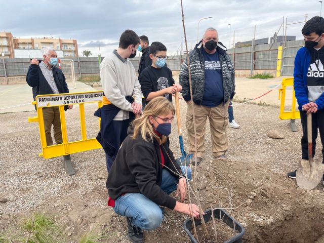 El IES Carlos III inaugura su minibosque Miyawaki - 1, Foto 1