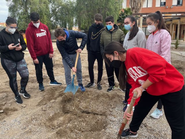 El IES Carlos III inaugura su minibosque Miyawaki - 3, Foto 3