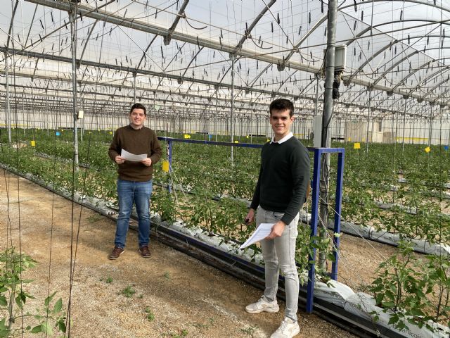 Estudiantes del Máster en Industria 4.0 aportan inteligencia artificial y robótica a la producción de tomate - 1, Foto 1