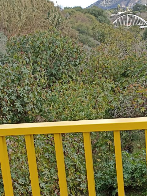 Los vecinos de Canteras temen inundaciones en la zona urbana por falta de limpieza en la rambla - 1, Foto 1