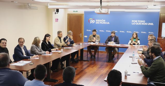 El Comité Ejecutivo del PP de la Región de Murcia designa el Comité de Campaña - 1, Foto 1