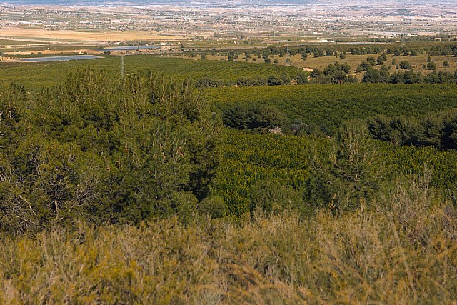The Natural Fruit Company se une a la Red EsAgua y avanza en su compromiso con la sostenibilidad - 1, Foto 1