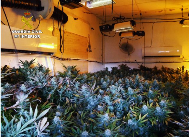 La Guardia Civil detiene a una pareja por cultivo y venta de marihuana y por la tenencia ilícita de dos armas de fuego - 1, Foto 1