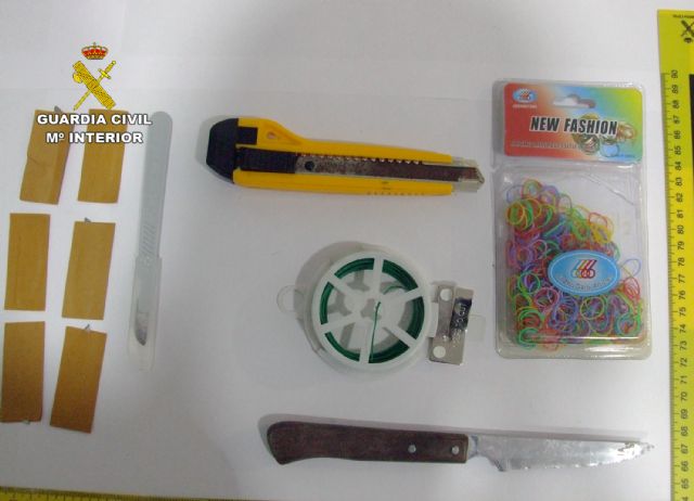 La Guardia Civil detiene a una pareja por cultivo y venta de marihuana y por la tenencia ilícita de dos armas de fuego - 4, Foto 4