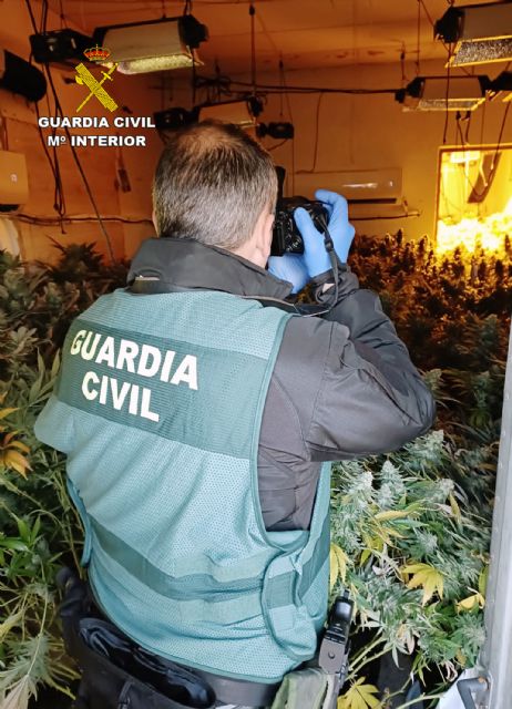 La Guardia Civil detiene a una pareja por cultivo y venta de marihuana y por la tenencia ilícita de dos armas de fuego - 5, Foto 5
