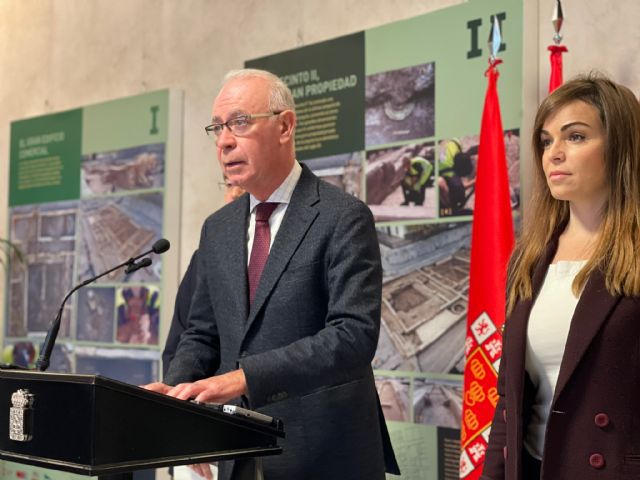 El Pleno aprueba solicitar el cese ya de la ministra Ribera por su ataque al Trasvase - 1, Foto 1