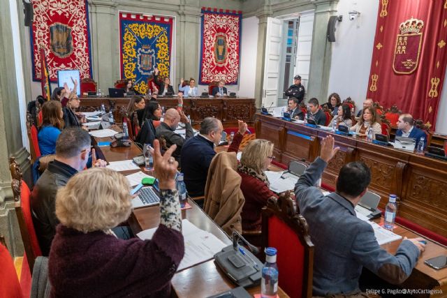 El Pleno pide la dimisión de la presidenta de la Autoridad Portuaria, del delegado del Gobierno y del portavoz de MC - 1, Foto 1