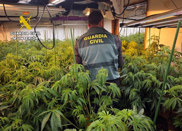 La Guardia Civil desarticula en Torre Pacheco un grupo delictivo que cultivaba gran cantidad de marihuana - 2, Foto 2