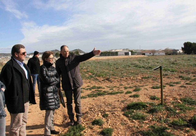 Unas jornadas darán a conocer entre los agricultores las especies experimentales de la finca 'Las Nogueras' - 1, Foto 1