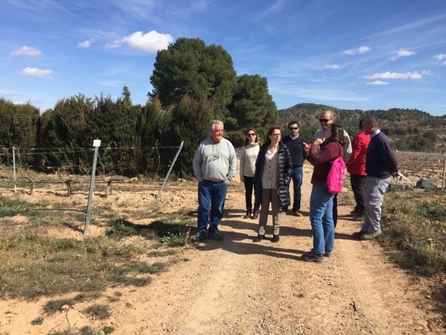 Las fincas experimentales trabajan en la investigación de nuevas variedades frutales adaptadas al clima de la Región - 2, Foto 2