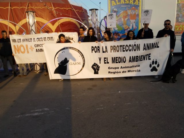Colectivos y asociaciones animalistas realizan una concentración contra el  circo Alaska en Murcia - 1, Foto 1
