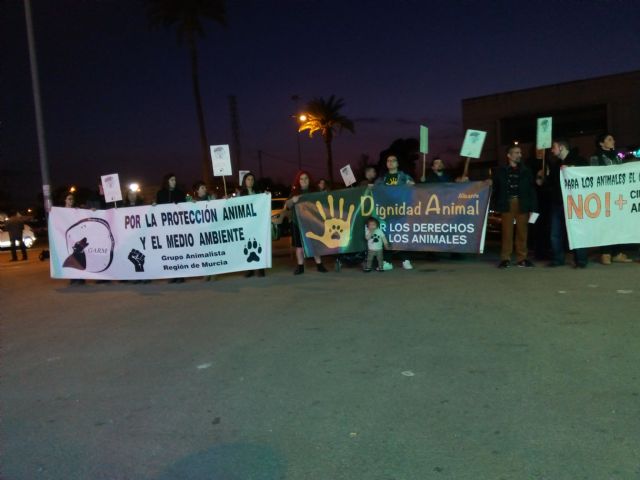 Colectivos y asociaciones animalistas realizan una concentración contra el  circo Alaska en Murcia - 2, Foto 2
