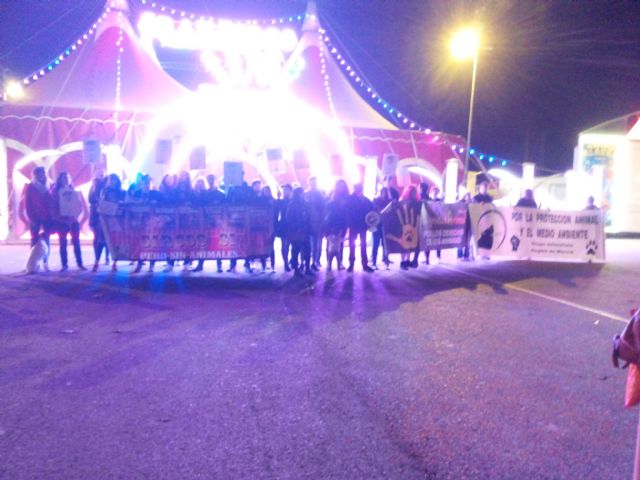 Colectivos y asociaciones animalistas realizan una concentración contra el  circo Alaska en Murcia - 4, Foto 4