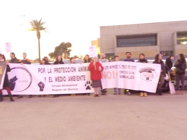 Colectivos y asociaciones animalistas realizan una concentración contra el  circo Alaska en Murcia - 5, Foto 5
