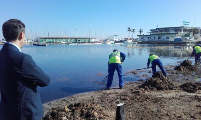 La Comunidad refuerza la brigada de limpieza del Mar Menor en marzo y prestará el servicio durante todo el año - 1, Foto 1