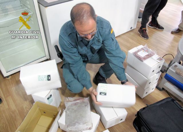 La Guardia Civil desmantela un  criadero  ilegal de tortugas con cerca de un centenar especies - 1, Foto 1