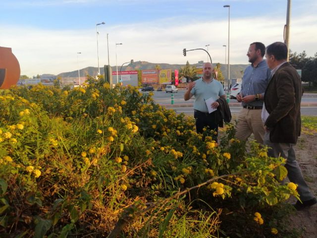 El Plan Hiedra llega al Barrio del Infante - 1, Foto 1