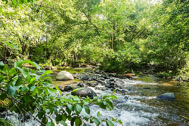 4 experiencias sorprendentes y transformadoras en Estados Unidos - 4, Foto 4
