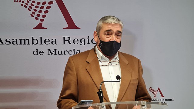 Ciudadanos reclama una ley nacional de protección y apoyo a las familias - 1, Foto 1