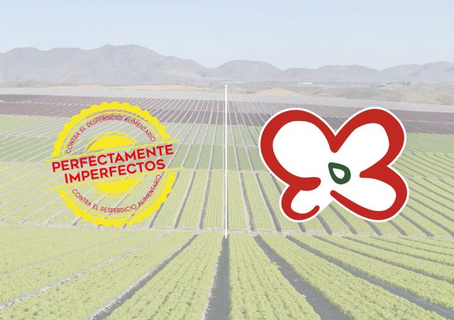 Primaflor se une a la campaña “Perfectamente Imperfectos” contra el desperdicio alimentario - 2, Foto 2
