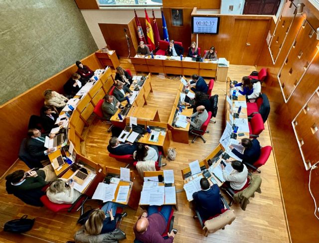 Lorca se dota de los presupuestos más ambiciosos de su historia, que incluyen una batería de inversiones de 5 millones de euros para mejoras en casco urbano y pedanías - 2, Foto 2