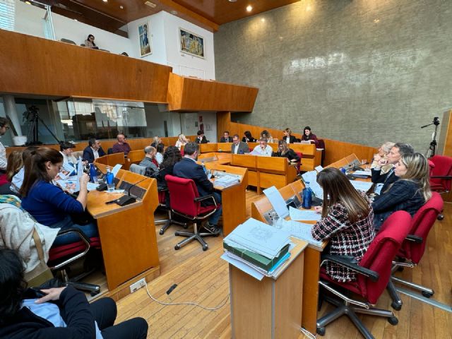 Balance de votaciones del Pleno Ordinario del Ayuntamiento de Lorca correspondiente al mes de febrero de 2024 - 1, Foto 1