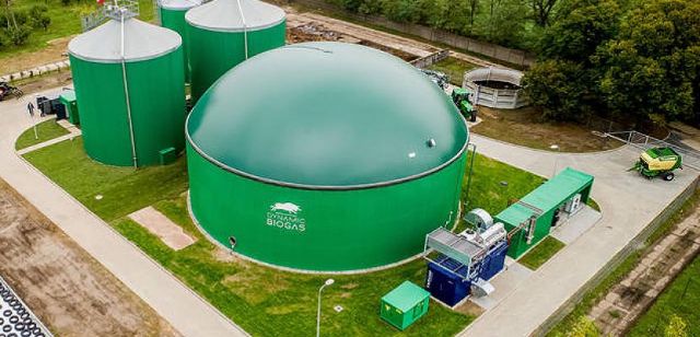 Ecologistas en Acción critica el despliegue de las plantas de biogas y macrogranjas en la región - 1, Foto 1