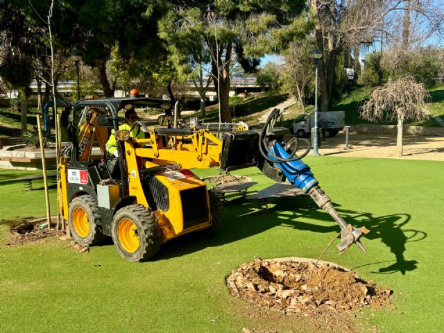 El Ayuntamiento de Murcia repondrá más de un millar de árboles durante los meses de invierno - 2, Foto 2