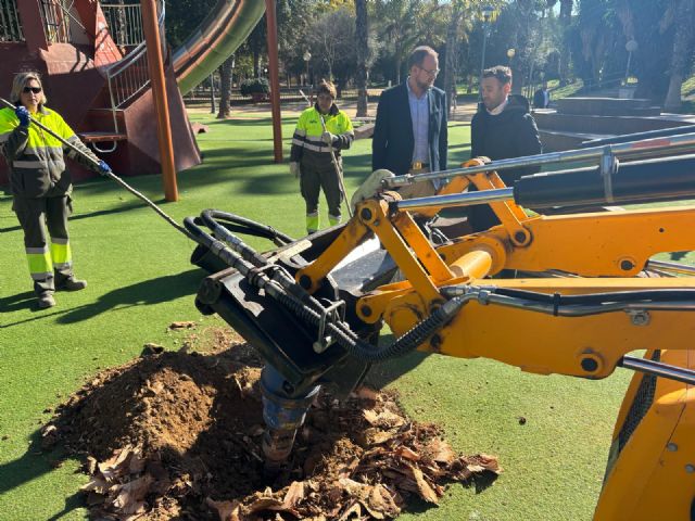 El Ayuntamiento de Murcia repondrá más de un millar de árboles durante los meses de invierno - 3, Foto 3