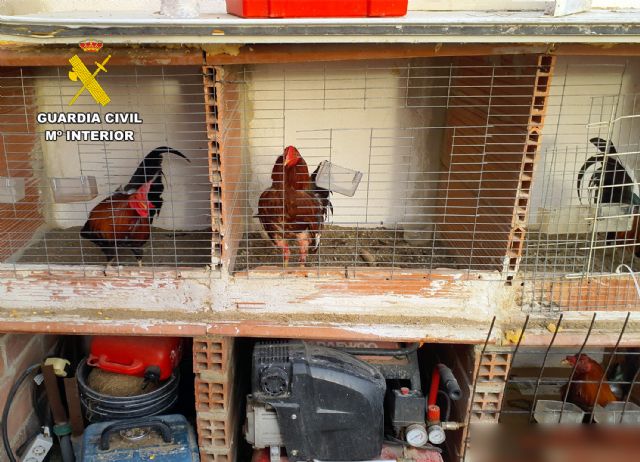 La Guardia Civil esclarece en Torre Pacheco un caso de maltrato animal - 2, Foto 2