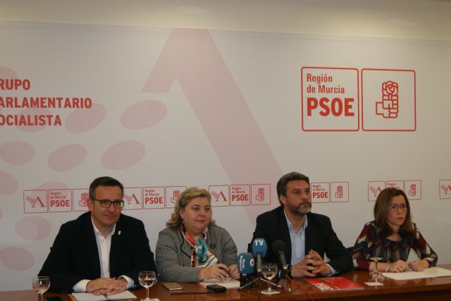 Clara Aguilera: Es inaudita la falta de transparencia y de acción de los gobiernos de España y de la Región con la situación del Mar Menor - 2, Foto 2