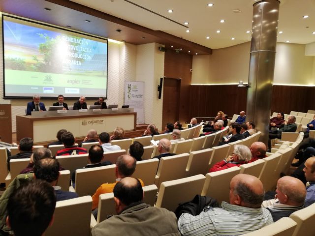 Más de 3.000 horas de sol en la Región sitúan la energía fotovoltaica como motor del regadío - 1, Foto 1